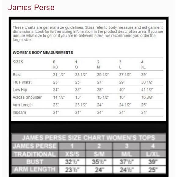 Standard James Perse Jumbo Cord Relaxed Fit Chino pants brown size 3 (Large L) - Picture 10 of 10